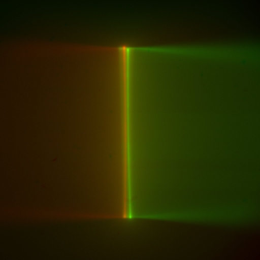  Converging light sheets in dye striking the coverslip. Note the epi-beam line of light corresponding to each sheet. Here the objectives are very close to the bottom of the chamber. The light sheets are are barely crossing each other before they disappear when they encounter the coverslip. With the light sheets focuses across the width of the sheet, the epi-beam should be appear parallel to the edge of the camera field.
