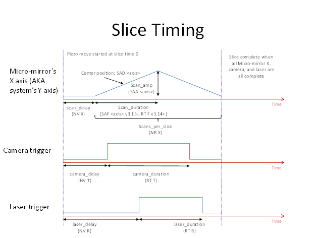  diSPIM plugin slice timing graph